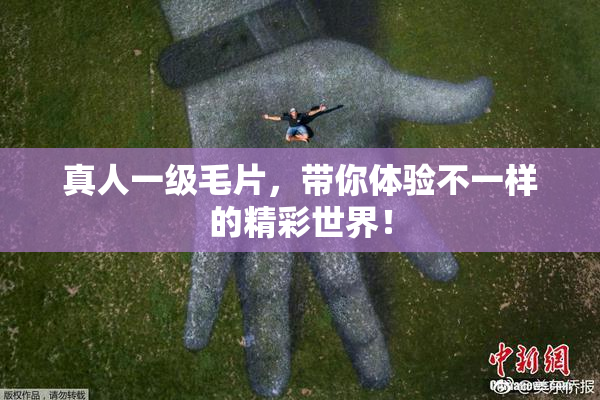 真人一级毛片，带你体验不一样的精彩世界！