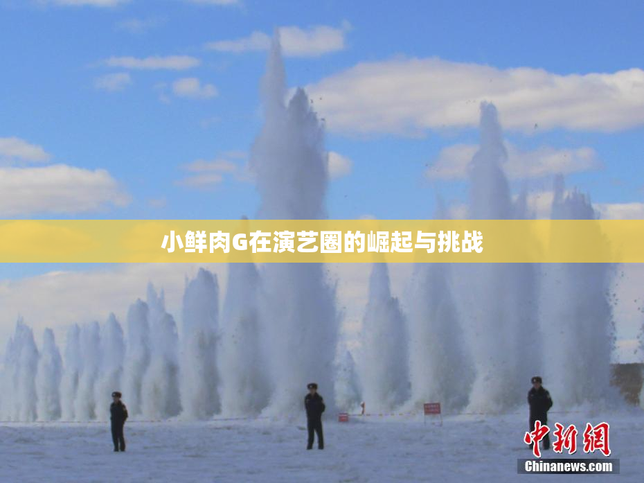 小鲜肉G在演艺圈的崛起与挑战