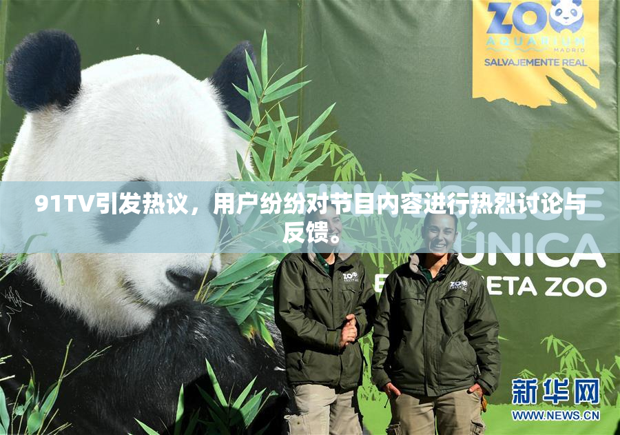 91TV引发热议，用户纷纷对节目内容进行热烈讨论与反馈。