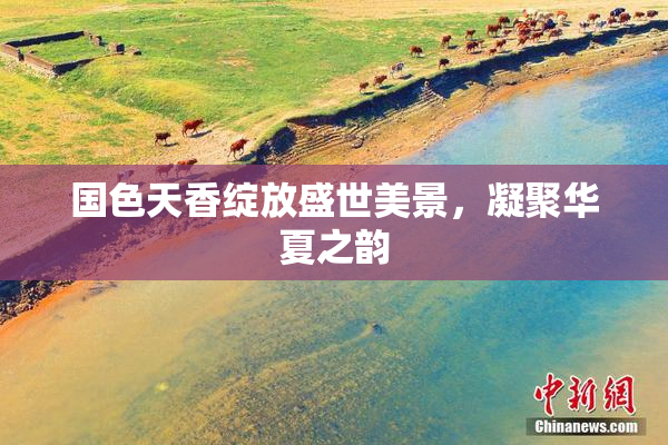 国色天香绽放盛世美景，凝聚华夏之韵