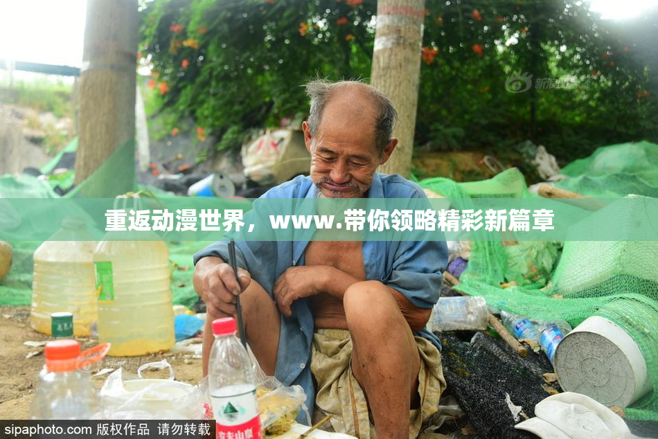 重返动漫世界，www.带你领略精彩新篇章