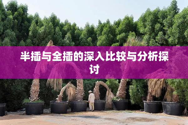 半插与全插的深入比较与分析探讨