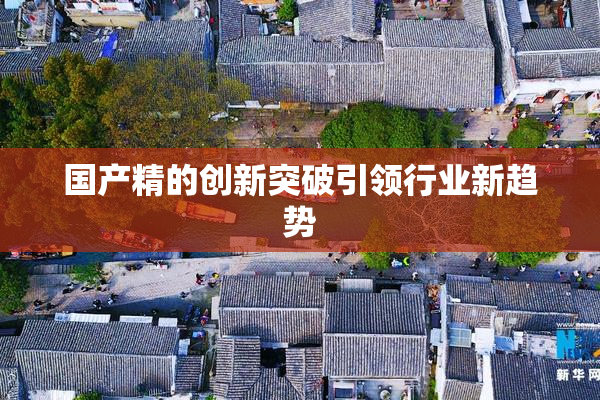 国产精的创新突破引领行业新趋势