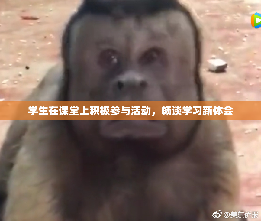 学生在课堂上积极参与活动，畅谈学习新体会