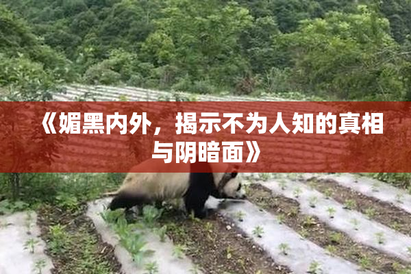 《媚黑内外，揭示不为人知的真相与阴暗面》