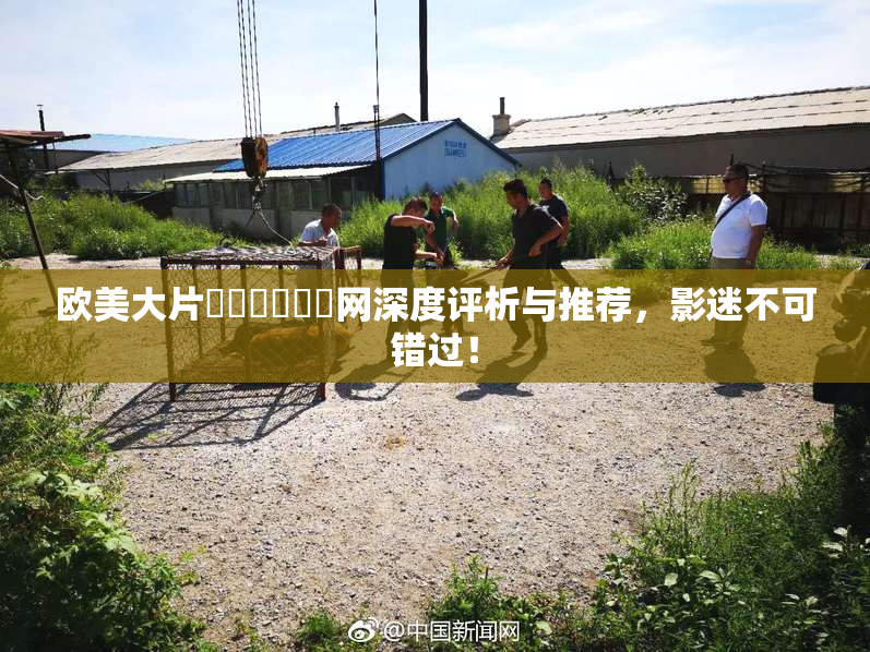 欧美大片❌‌❌‌❌‌网深度评析与推荐，影迷不可错过！