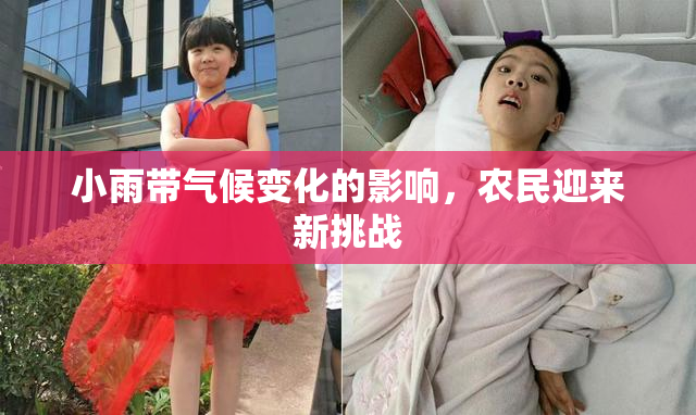 小雨带气候变化的影响，农民迎来新挑战