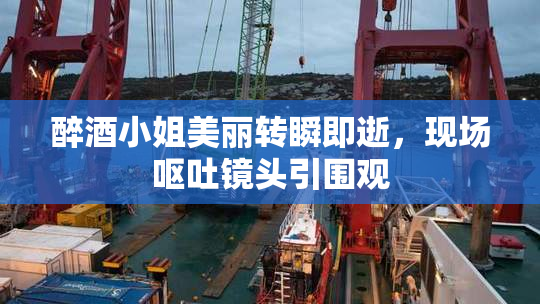 醉酒小姐美丽转瞬即逝，现场呕吐镜头引围观