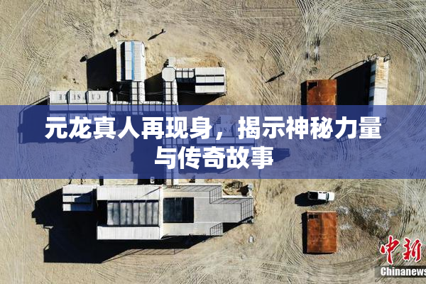 元龙真人再现身，揭示神秘力量与传奇故事