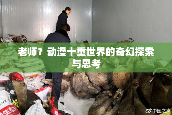 老师？动漫十重世界的奇幻探索与思考
