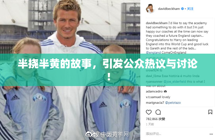 半挠半黄的故事，引发公众热议与讨论！