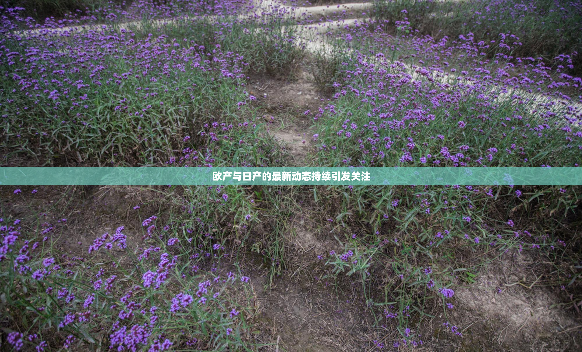 欧产与日产的最新动态持续引发关注