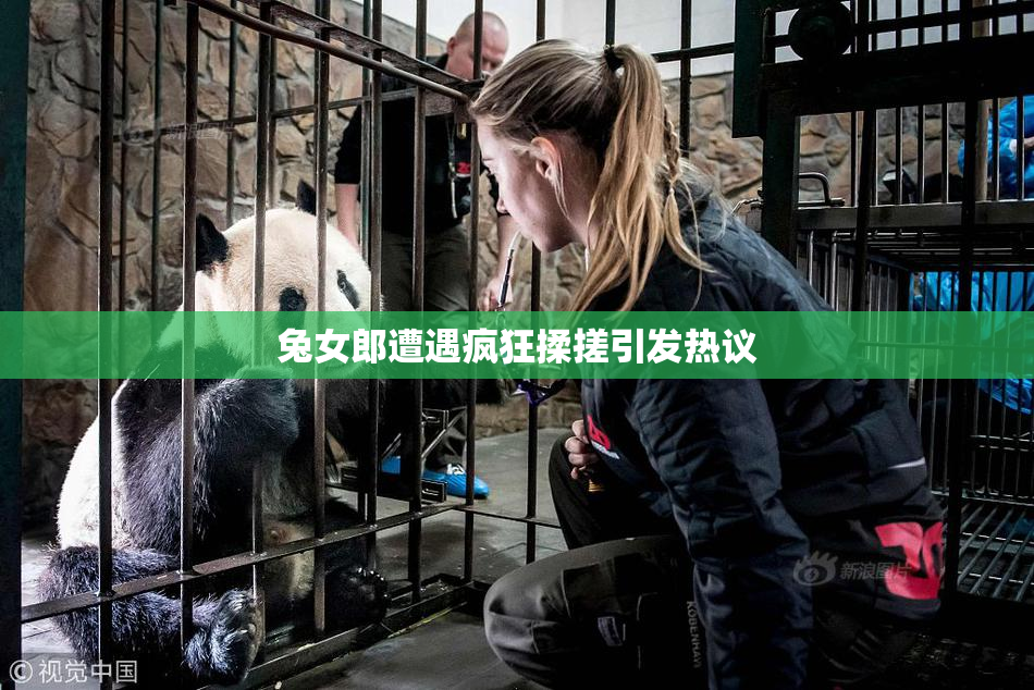 兔女郎遭遇疯狂揉搓引发热议