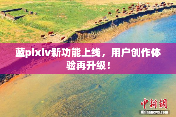 蓝pixiv新功能上线，用户创作体验再升级！