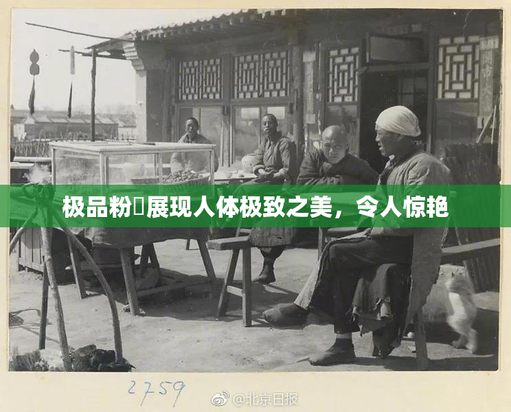 极品粉鮑展现人体极致之美，令人惊艳