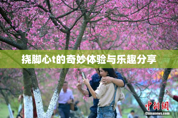 挠脚心t的奇妙体验与乐趣分享