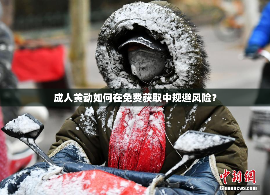 成人黄动如何在免费获取中规避风险？