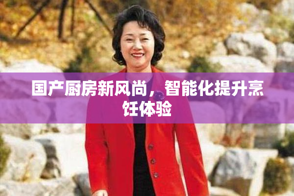 国产厨房新风尚，智能化提升烹饪体验