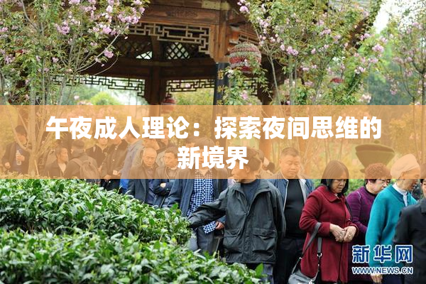午夜成人理论：探索夜间思维的新境界