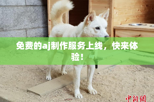 免费的aj制作服务上线，快来体验！