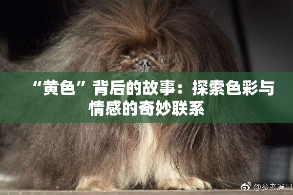“黄色”背后的故事：探索色彩与情感的奇妙联系