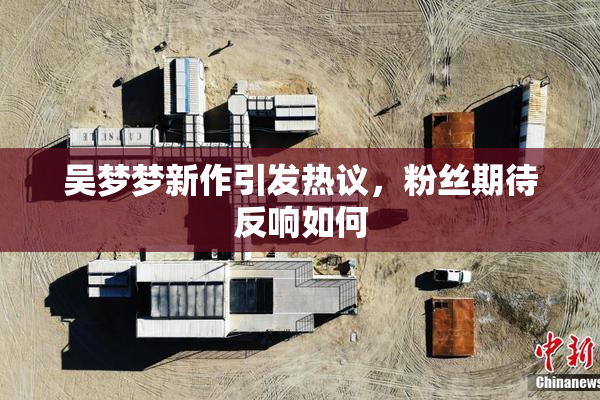 吴梦梦新作引发热议，粉丝期待反响如何