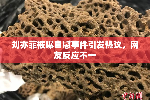 刘亦菲被曝自慰事件引发热议，网友反应不一
