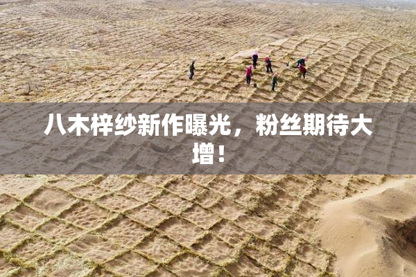 八木梓纱新作曝光，粉丝期待大增！