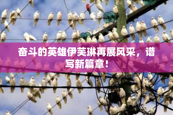 奋斗的英雄伊芙琳再展风采，谱写新篇章！