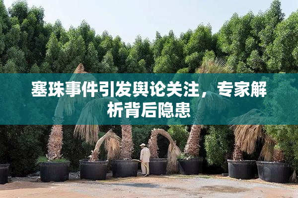 塞珠事件引发舆论关注，专家解析背后隐患