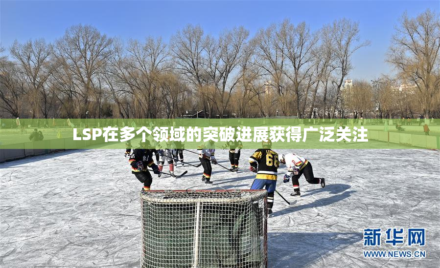 LSP在多个领域的突破进展获得广泛关注