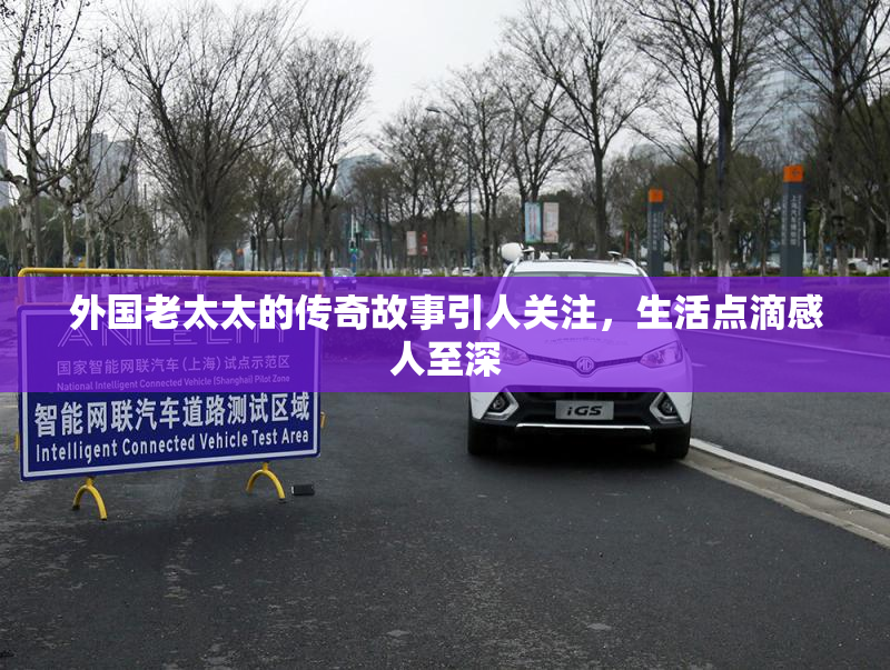 外国老太太的传奇故事引人关注，生活点滴感人至深