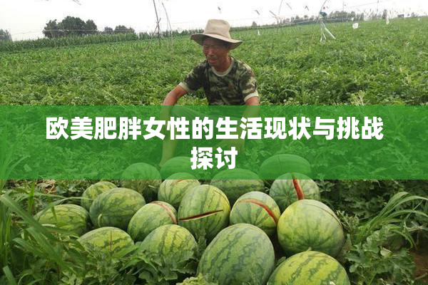 欧美肥胖女性的生活现状与挑战探讨