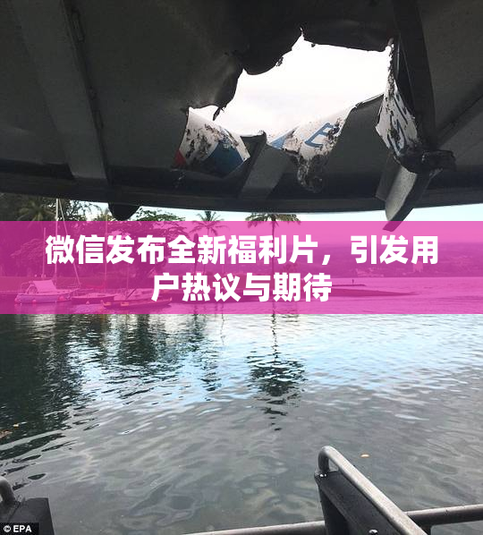 微信发布全新福利片，引发用户热议与期待