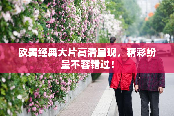 欧美经典大片高清呈现，精彩纷呈不容错过！