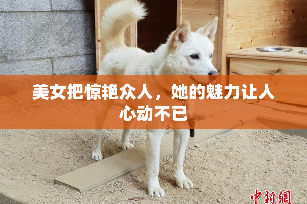 美女把惊艳众人，她的魅力让人心动不已