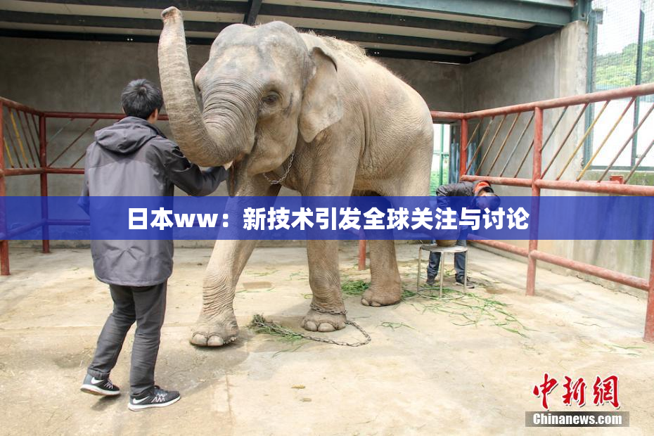 日本ww：新技术引发全球关注与讨论