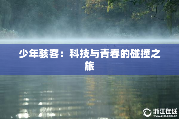 少年骇客：科技与青春的碰撞之旅