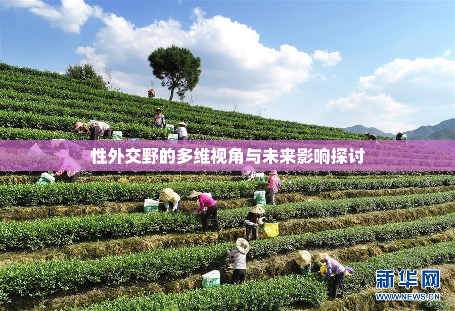 性外交野的多维视角与未来影响探讨