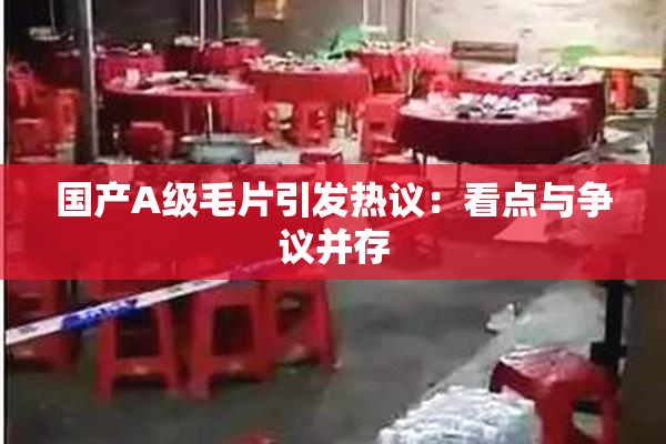 国产A级毛片引发热议：看点与争议并存