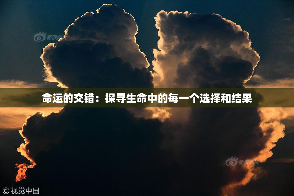 命运的交错：探寻生命中的每一个选择和结果