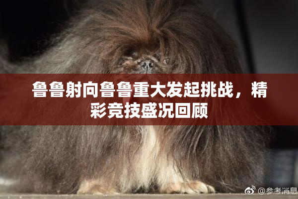 鲁鲁射向鲁鲁重大发起挑战，精彩竞技盛况回顾