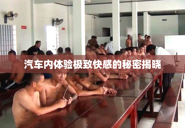 汽车内体验极致快感的秘密揭晓