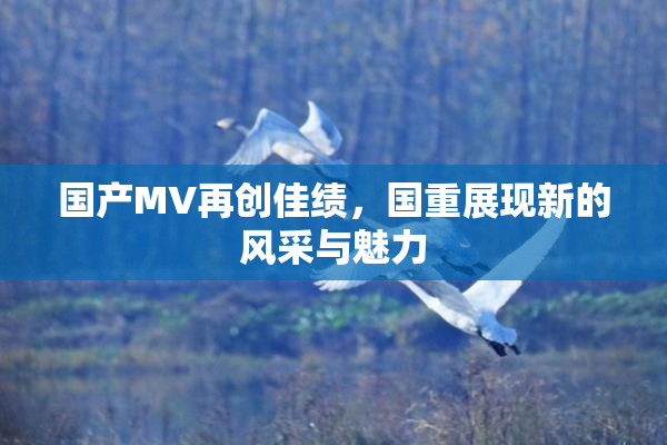 国产MV再创佳绩，国重展现新的风采与魅力