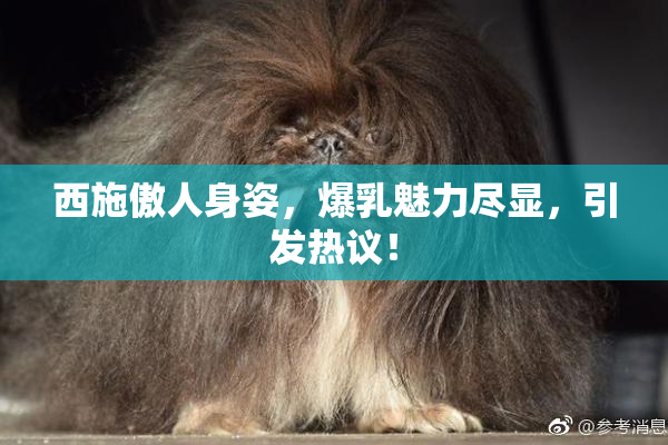 西施傲人身姿，爆乳魅力尽显，引发热议！