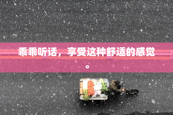 乖乖听话，享受这种舒适的感觉。