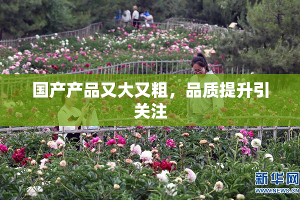 国产产品又大又粗，品质提升引关注