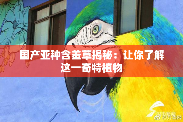 国产亚种含羞草揭秘：让你了解这一奇特植物