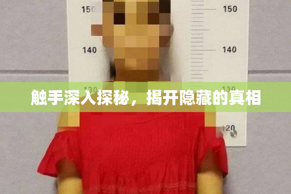 触手深入探秘，揭开隐藏的真相
