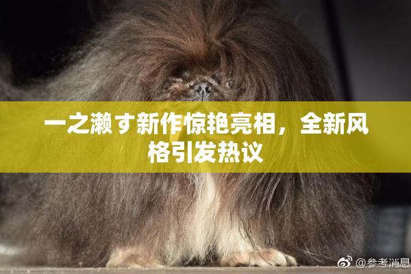 一之濑す新作惊艳亮相，全新风格引发热议